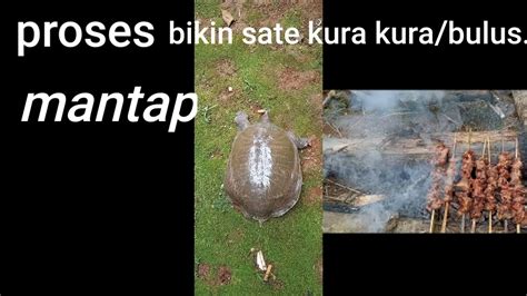 Proses Bikin Sate Kura Kura Bulus Youtube