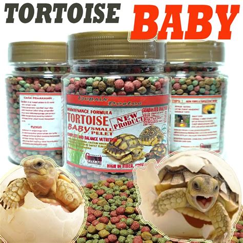 Jual Makanan Pelet Tortoise Sulcata Baby Kura Kura Darat Pellet Pakan