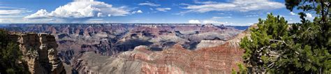 Grand Canyon Moosearound