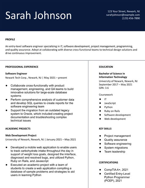 Entry Level Information Technology Resume Examples And Templates For