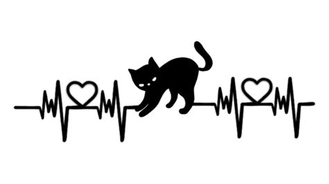 Valentines Day Heartbeat Line Cat Horizontal Illustration Black Valentine S Day Heartbeat Cat