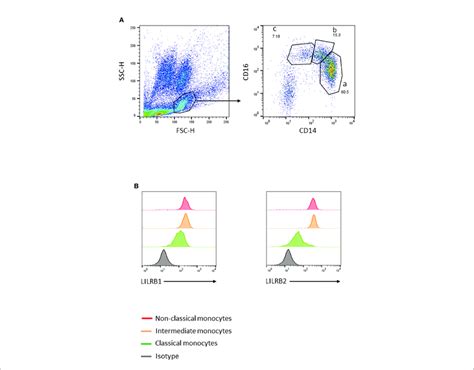 Gating Strategy To Identify Peripheral Blood Monocyte Subsets A