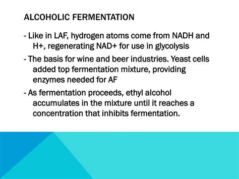 Ppt Fermentation Powerpoint Presentation Free Download Id2556710