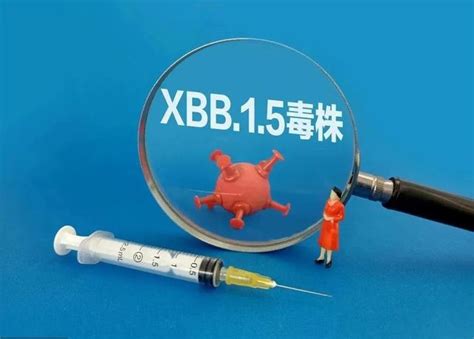 世衛官員：xbb 1 5成迄今最具傳染性奧密克戎亞型變異株！ 每日頭條