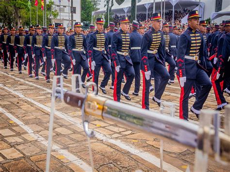 Mais De 530 Sargentos Diplomados Na Escola De Sargentos Das Armas