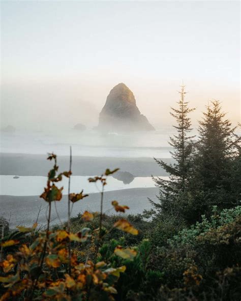 9 Drop-Dead Gorgeous Southern Oregon Coast Destinations (From Brookings ...