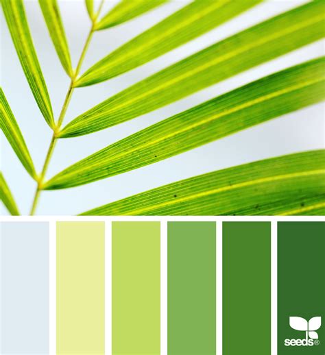 Color Nature Monochromatic Color Scheme Design Seeds Seeds Color