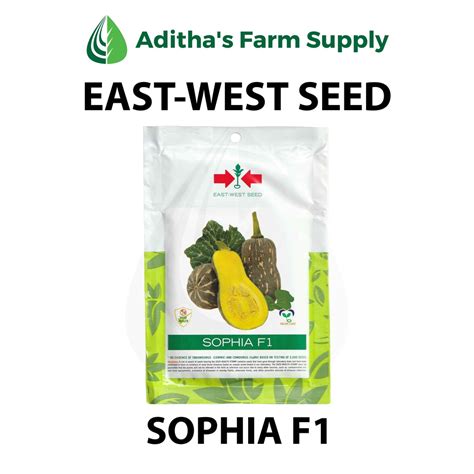 East West Seed Squash Pumpkin Kalabasa Hybrid Varieties Sophia F1