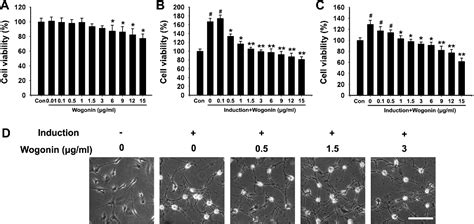 Figure From Wogonin Induces Retinal Neuron Like Differentiation Of