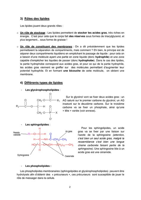 SOLUTION Structure Et Fonctions Des Lipides Studypool