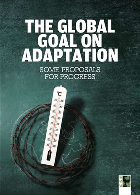 The Global Goal On Adaptation Chandra Bhushan