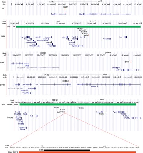 Ucsc Genome Browser Snapshots Showing The Location Of Each Mouse Bar