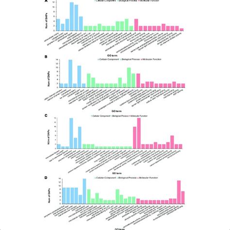 Gene Ontology Enrichment Of Differential Abundance Proteins In The Download Scientific