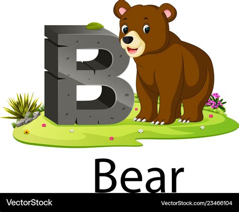 Zoo Animal Alphabet B For Bear Royalty Free Vector Image