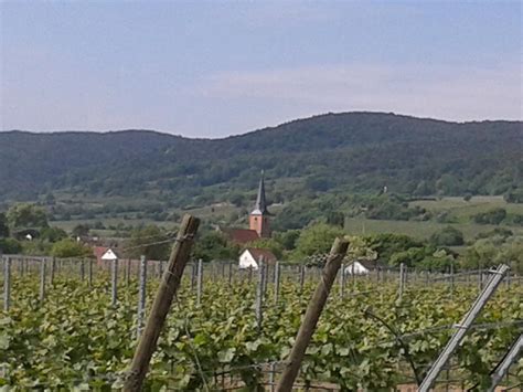 Die Schönsten Radtouren In Niederkirchen Bei Deidesheim Outdooractive