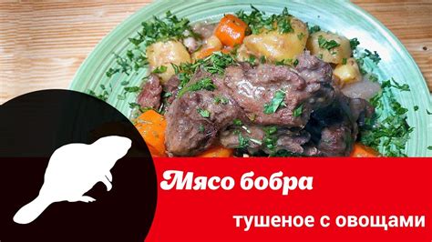 Авторский рецепт Юлии Шевцовой "Бобр тушеный с овощами" - YouTube