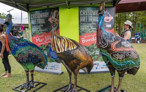 Cassowary Art Trail Launch Rainforest Rescue News