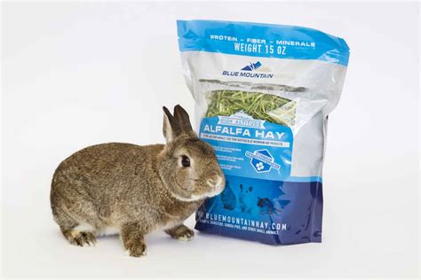 Alfalfa Hay For Rabbits