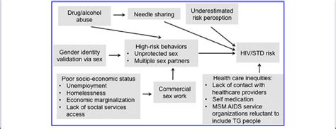 Hiv Transmission Sexually