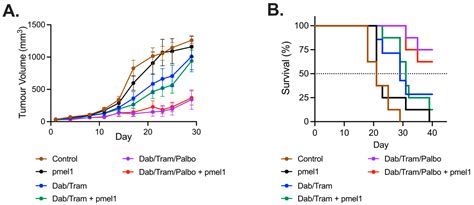 Cancers Free Full Text Enhancing Adoptive Cell Transfer With Combination Braf Mek And Cdk4 6