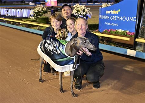 hector fawley set   phoenix onslaught greyhound recorder