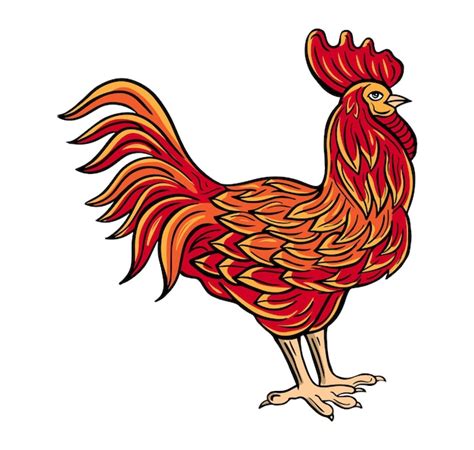 Premium Vector | Rooster hand drawn engraved sketch drawing vector