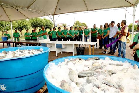 Milhares de peixes do lago de Boa Esperança foram doados à população