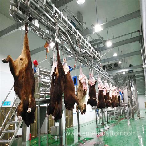 Automatic Cow Slaughterhouse Equipment Muslim Cattle Abattoir Halal