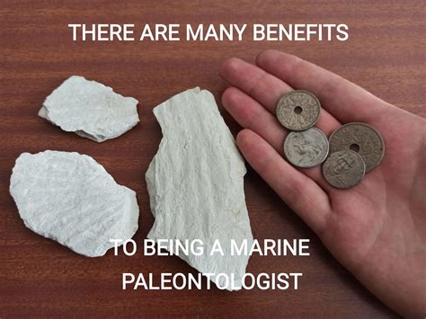 There Are Many Benefits To Being A Marine Paleontologist There Are