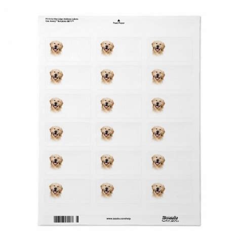 Golden Retriever Address Label | Zazzle