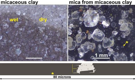 Micaceous Clay And Life S Origins Top Left A Brown Micaceous Clay