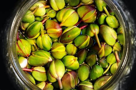 Can You Freeze Capers Cyanne Eats