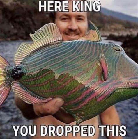 Pin By Melissa On Fish Love Me And I Love Them Funny Laugh Memes