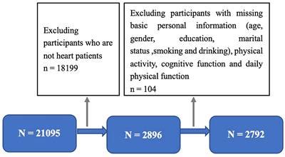 Frontiers Associations Of Physical Activity With Cognitive Function