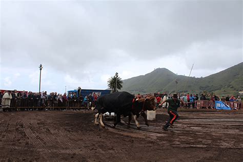 Tegueste Se Convierte En La Capital De Las Tradiciones Al Acoger El XXX