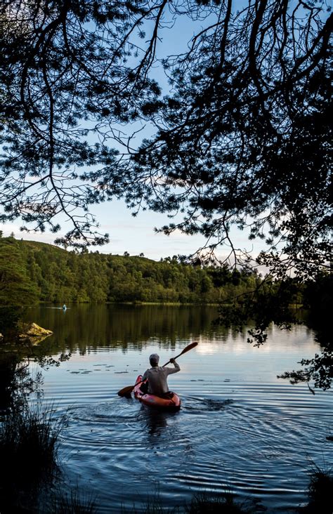 Images Gratuites arbre eau la nature bateau Matin Lac rivière