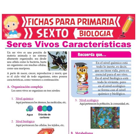 Actividades De Los Seres Vivos Para Ninos Images And Photos Finder