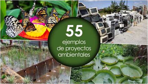 55 Ejemplos De Proyectos Ambientales Agroproyectos