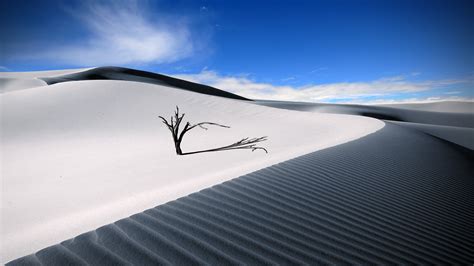 Wallpaper : landscape, nature, sand, sky, shadow, snow, desert, wind, Arctic, dune, dead trees ...