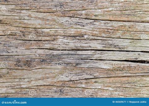 Old Cracked Wood Grain Texture Background Stock Image Image Of Panel