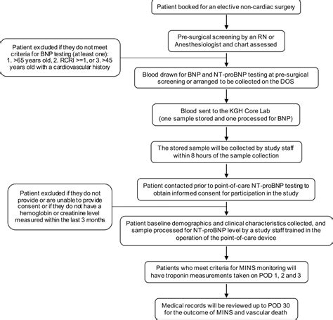 Conversion Between B Type Natriuretic Peptide And N Terminal Pro B Type Natriuretic Peptide In