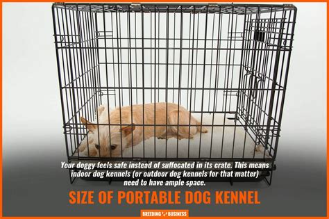 10 Best Portable Dog Kennels – Mobile Crates & Kennels, Tips + FAQ