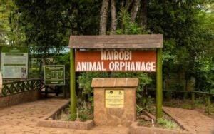 Nairobi Animal Orphanage Entrance Fees 2024