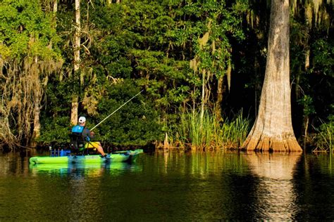 Endless fishing opportunities in St. Marks, Florida | Kayak Angler