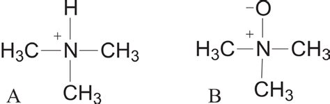 Trimethylamine Lewis Structure