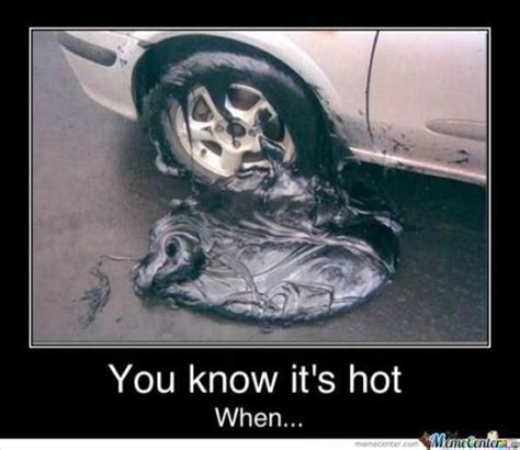 You know it's too hot when... | Funny pictures, Strange photos, Funny