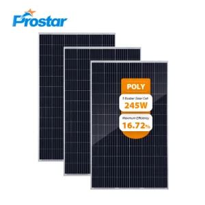 Prostar 245W Poly Solar Panel 245wp China Factory 72 Cell Poly