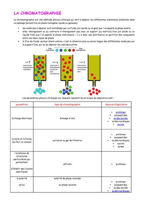 La Chromatographie Change D Ions Cours De La Biochimie La