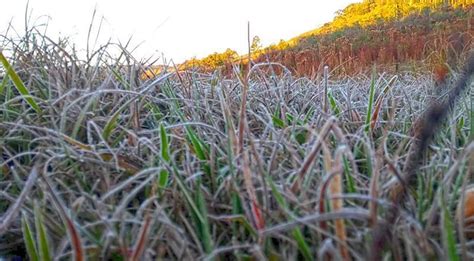 Onda De Frio Chega A Regi O Na Pr Xima Semana