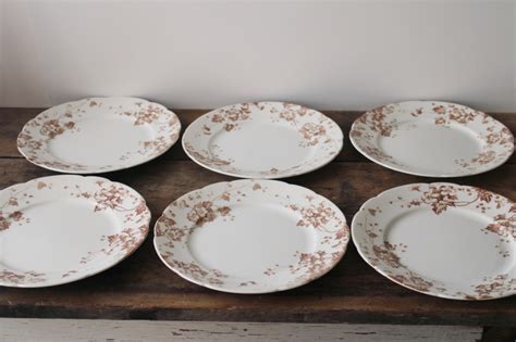 Antique Vintage English Ironstone China Plates Severn Brown Floral